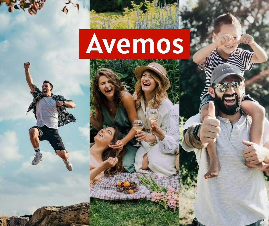Avemos Team